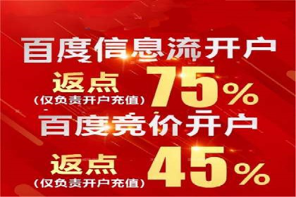 百度竞价推广经典案例解读